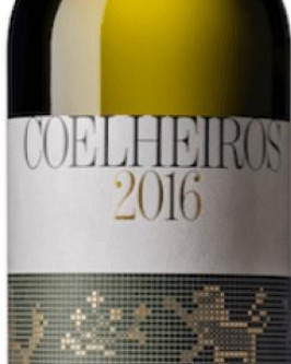 Coelheiros Branco  